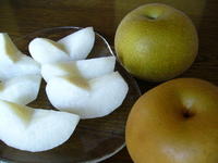 Nashi-pear,katori-city,japan (1).jpg