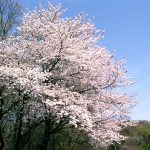 Thumbnail of related posts 040