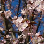 Thumbnail of related posts 048