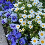 Thumbnail of related posts 029