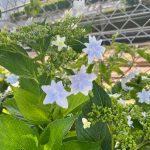 Thumbnail of related posts 076