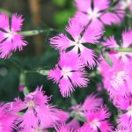 Thumbnail of related posts 118