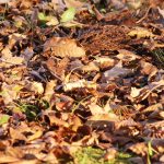 Thumbnail of related posts 042