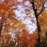 Thumbnail of post image 007