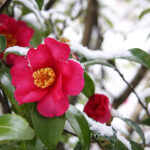 Thumbnail of related posts 127