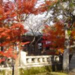 Thumbnail of related posts 197