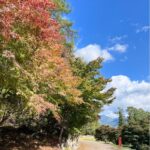 Thumbnail of related posts 003