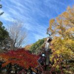 Thumbnail of post image 168