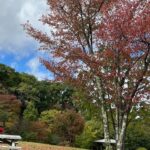 Thumbnail of related posts 000