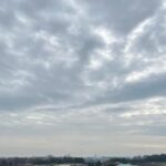 Thumbnail of post image 192