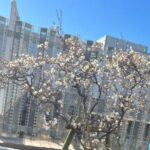 Thumbnail of post image 037