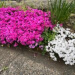 Thumbnail of post image 023