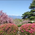 Thumbnail of related posts 179