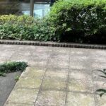 Thumbnail of related posts 104