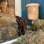 Thumbnail of post image 074